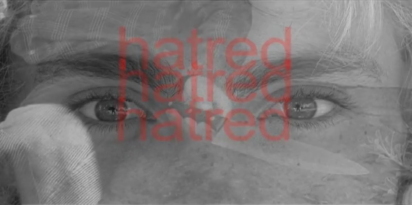 dan mace - hatred